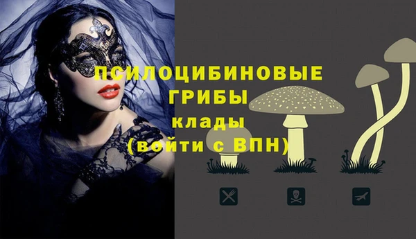 круглые Богданович