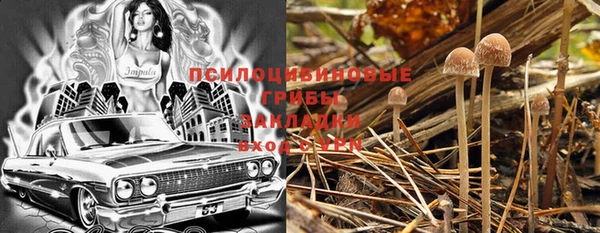 круглые Богданович