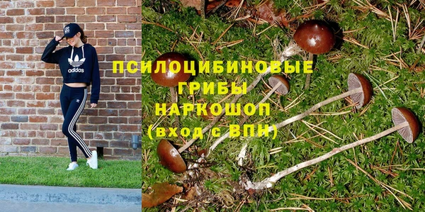 гашишное масло Богородицк
